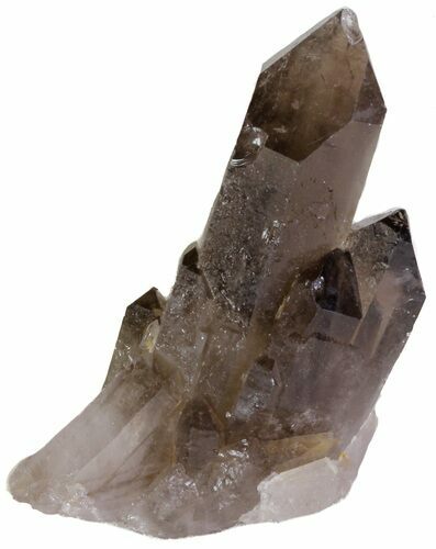 Smoky Quartz Crystal Cluster - Brazil #61460